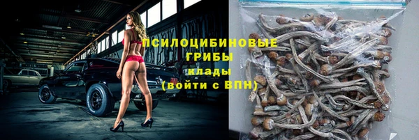 ГАЛЛЮЦИНОГЕННЫЕ ГРИБЫ Алексеевка